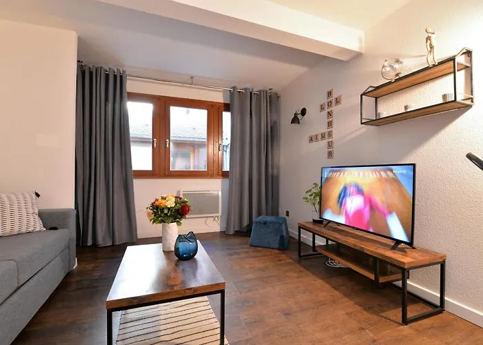 La Petite Terrasse Du Centre Appartement Colmar