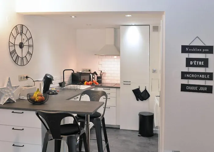 La Petite Terrasse Du Centre 公寓 科尔马